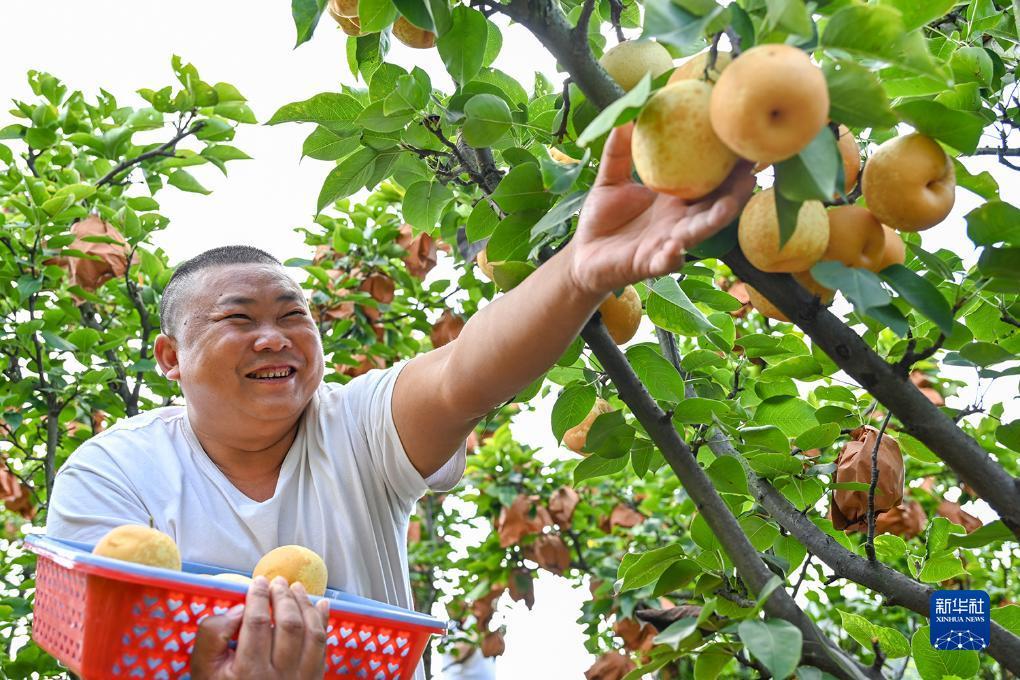 百乐牛牛怎么看的